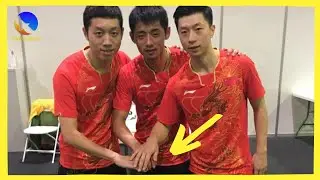Who is the best trio in table tennis?