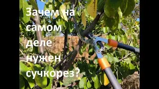Главная ошибка при обрезке!