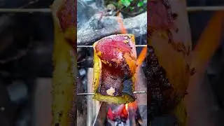 Ocean Squid #shorts #tiktok #foryou #xuhuong #fyp #langlieu