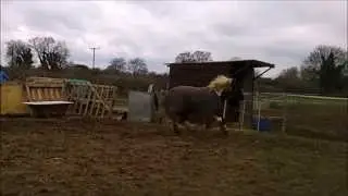 Hold Back The River | Free Lunging (5.4.15)