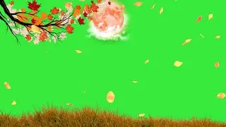 Falling Tree Leaves Green Screen Template Video Background | Falling Leaves Green Screen Video