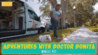 Episode 1: Dentals & Dachshunds | Mobile Vet Adventures with Dr. Donita