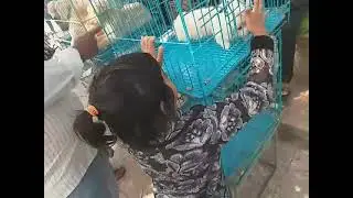 মাহি কি কিনতে গেলো 🤔