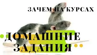 ЗАЧЕМ ДОМАШНИЕ ЗАДАНИЯ НА ОНЛАЙН КУРСАХ 💬