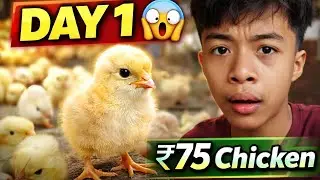 Day 1 Broiler Farming 🔥 | ₹75 Chicken Start (Full Setup)