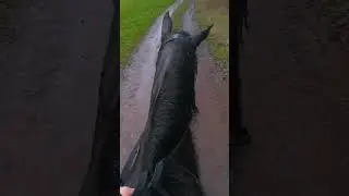 Hier ein Reitvideo 😂😂mit Ton