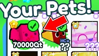 HACKER With INFINITE STAT PET in Pet Simulator X..