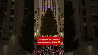 Главная елочка страны стоит напротив Белого дома в Вашингтоне #сша #новыйгод #елка