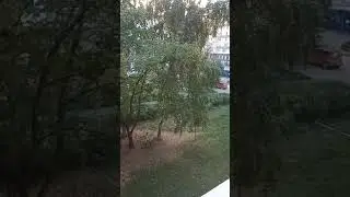 Пермь. Пситеррор. Кричу в открытое окно, сталкер слышит