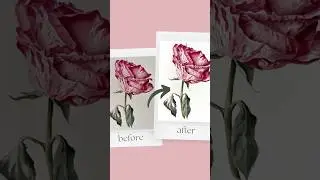 Making background of the painting photo lighter #watercoloring #watercolorpainting #painting #art