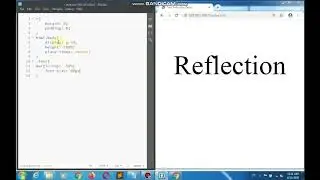 Simple Text Reflection HTML & CSS only