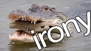 20 Best Ironic Photos, Oh the Irony!