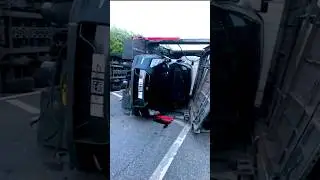 Insurance in Full Panic Mode! #truck #transport #cargo