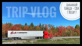 VLOG 