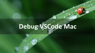 Setup Debugging VSCode mac