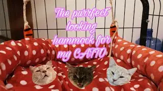 DIY Installing a Swinging Bed for my Cat | Why do CATS like chilling here?