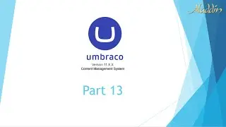 UMB11-013: 