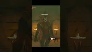 The Most Oblivious  Yiga Clan Member Ever?