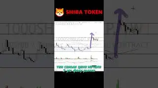 НОВЫЙ ЦИКЛ РОСТА - SHIBA INU