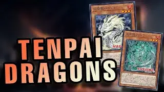 Bestowed Dragons - Tenpai Dragons 1 Card OTK Set-Up With Deck Lists | Legacy Of Destruction 天盃龍パイドラ