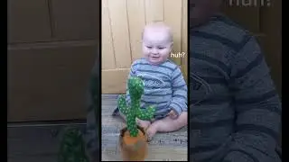 Baby VS Cactus #baby #cute #cutebaby #funny #newborn