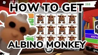 The PREMIUM MONKEY BOX gives ALBINO MONKEY | How to get FREE PREMIUM MONKEY BOX on ROBLOX ADOPT ME