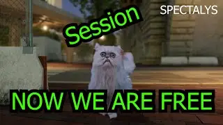 [SESSION] NOW WE ARE FREE