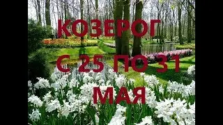 КОЗЕРОГ. ТАРО-ПРОГНОЗ НА НЕДЕЛЮ С 25 ПО 31 МАЯ 2020