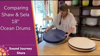 Comparing Shaw Percussion and Sela 18