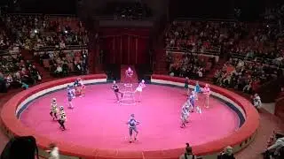 Цирк Восторг Цирк III тысячелетия Скибиди