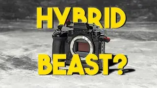 A Hybrid Beast | S5 II X Pros