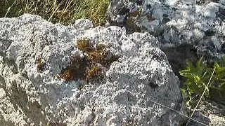 фиолент голубая лагуна ост маяк спуск