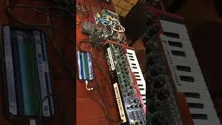 Ryuichi Sakamoto's 
