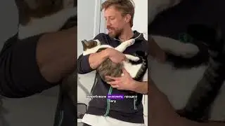 Коты снова устроили побег🤦🏼‍♀️ сегодня ловили,больше обычного 🤣кто-то спросит где собака?