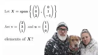 Two Vectors Walk Into a Span. One Doesn't Make It Out | Linear Algebra | Vector Spaces | Dogmathic