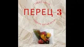 Перец Ягуар от Семена Алтая, обзор!Сбор урожая на Северо-западе в конце июля!