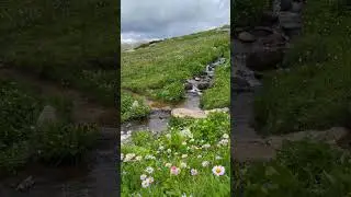 Colorado High Alpine Stream