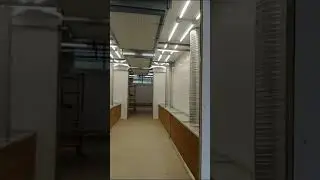 Участок покраски. Окна Столицы.