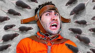 If You Scream, You Lose: IRL