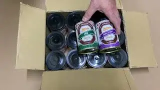 Inpinto 12Pack