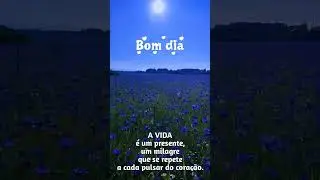 Bom dia