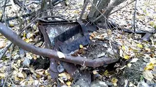 Медный сюрприз в лесу.