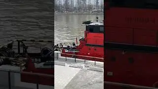 Фото локация на Южном речном вокзале Москвы