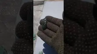 1 серпня 2024 р.