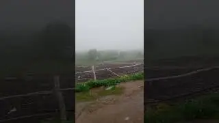 Пошел снег в мае #семейнаяферма #снег