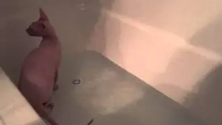 Smeagol takes a bath