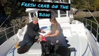 Crab In Our Bellies, Sun Shining! A Beautiful Ocean Weekend! #boatingfun #yachting #seafood