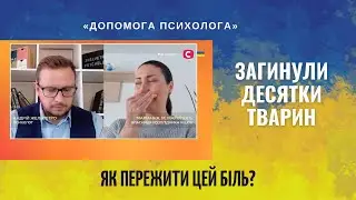 Погибли все животные от ракеты. Как пережить утрату?