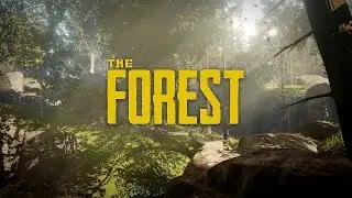 Test The Forest gtx760 2gb 1920x1080