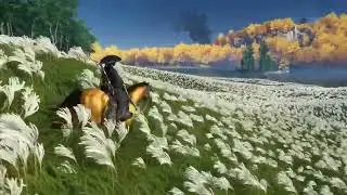 How your parents said they used to get to school